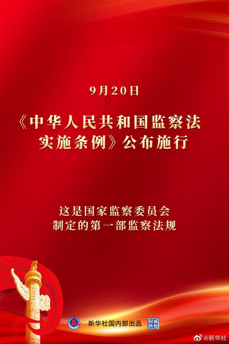 德牧和圣伯纳一起玩接球,一个行云流水,另一个...大概是泥石流!